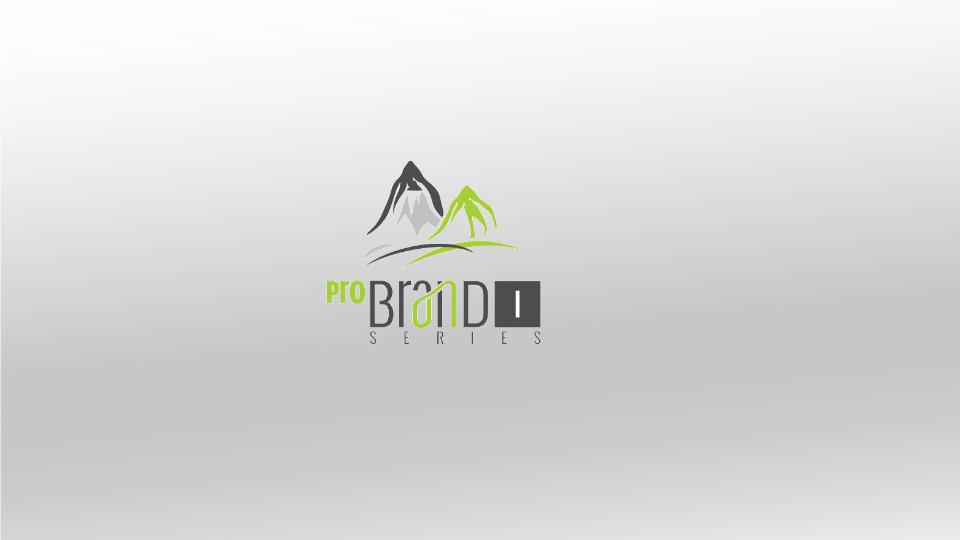 商务风格PPT- (5).pptx